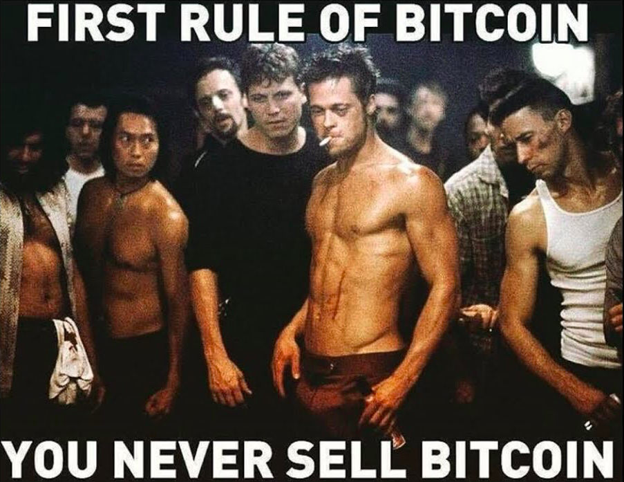 The Best Bitcoin Memes of All Time! 🚀