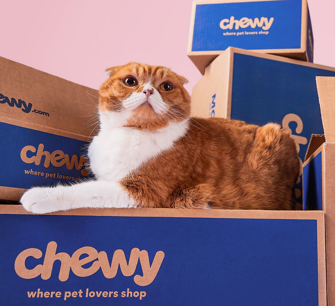 Get 2X Rewards at Chewy's Blue Box Event!